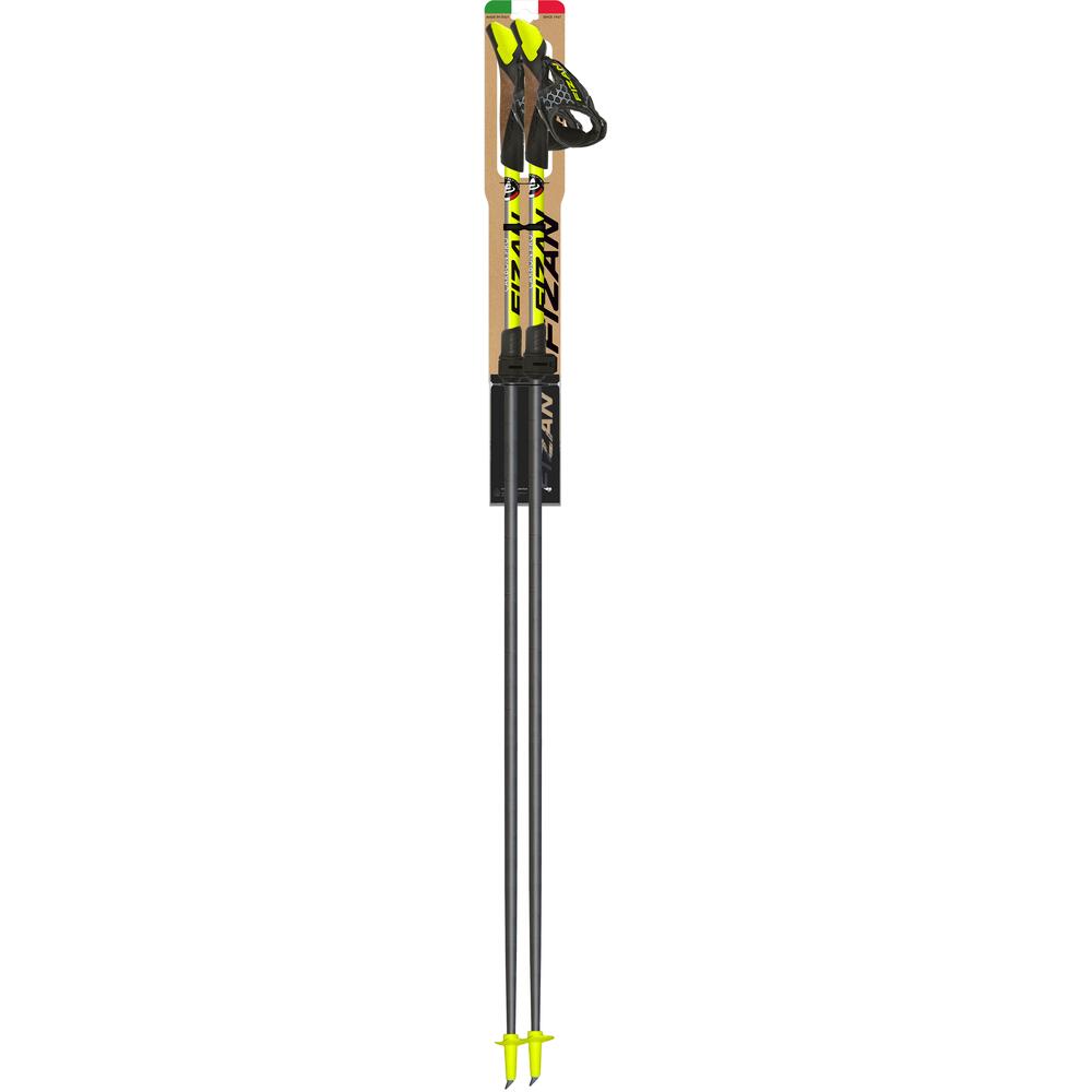 Fizan Carbon Pro Nordic Walking