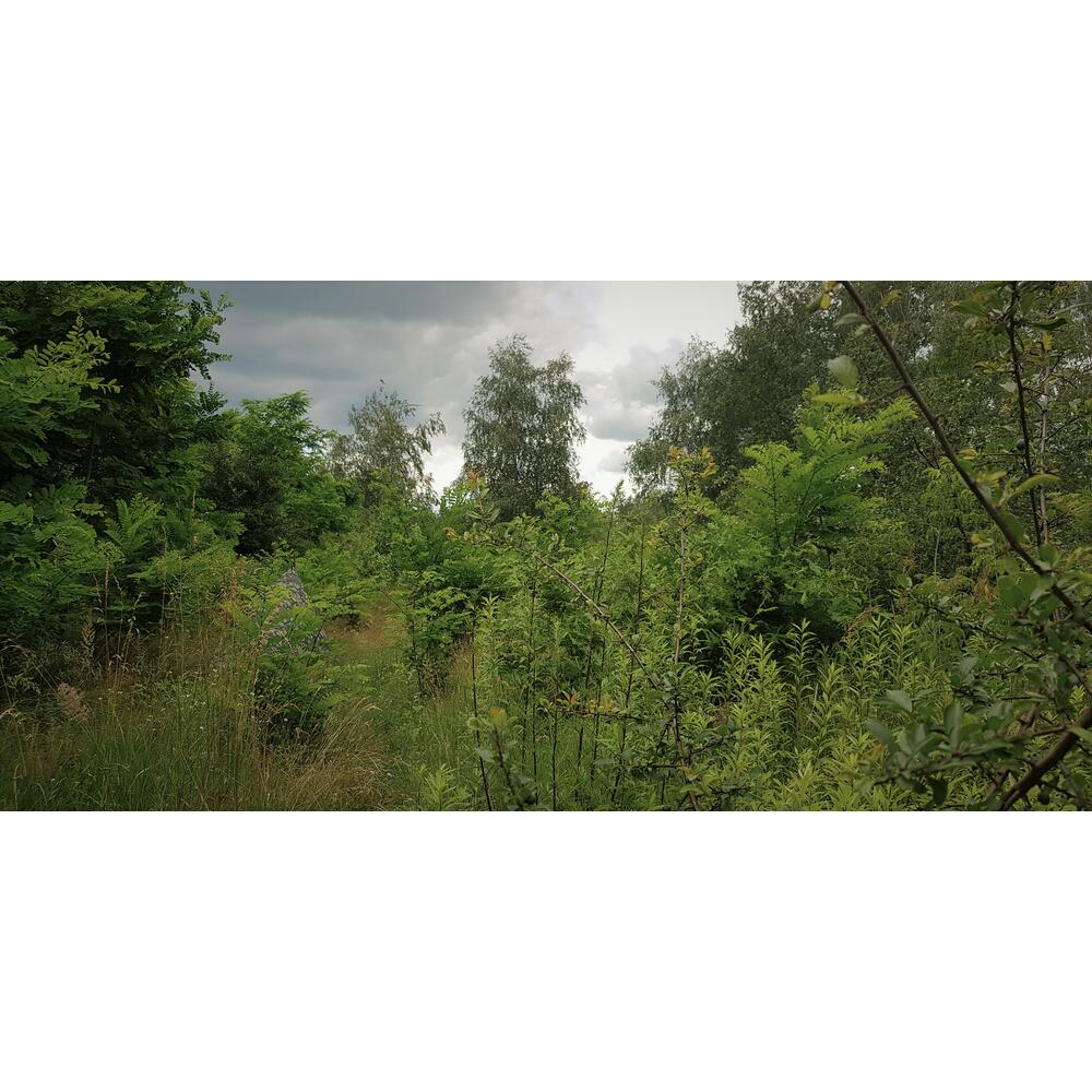 Bushmen Thermo Tarp 2x3 Camo