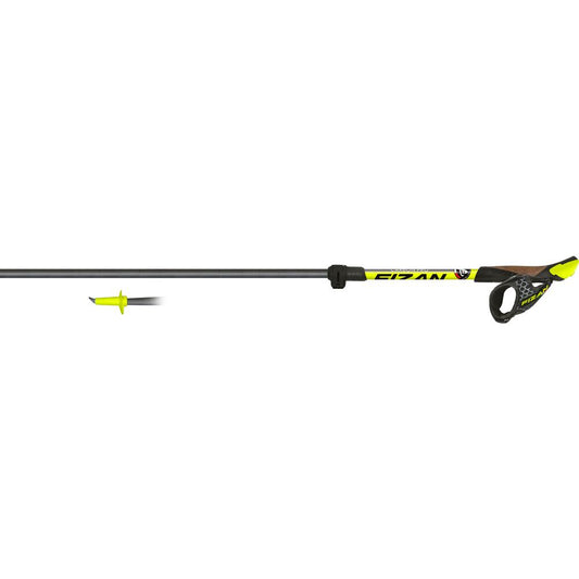 Fizan Carbon Pro Nordic Walking